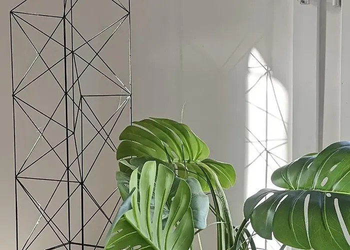 דירה Saint-germain-des-pres Story *