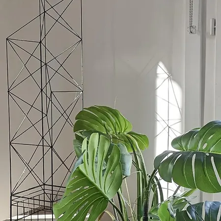 Appartement Saint-germain-des-pres Story *